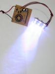 Joule-Theft mit 6 LEDs, Bild02